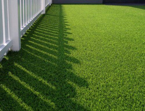 Is Real or Artificial Grass Better for You?