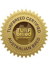 TB Certified Badge_Sapphire